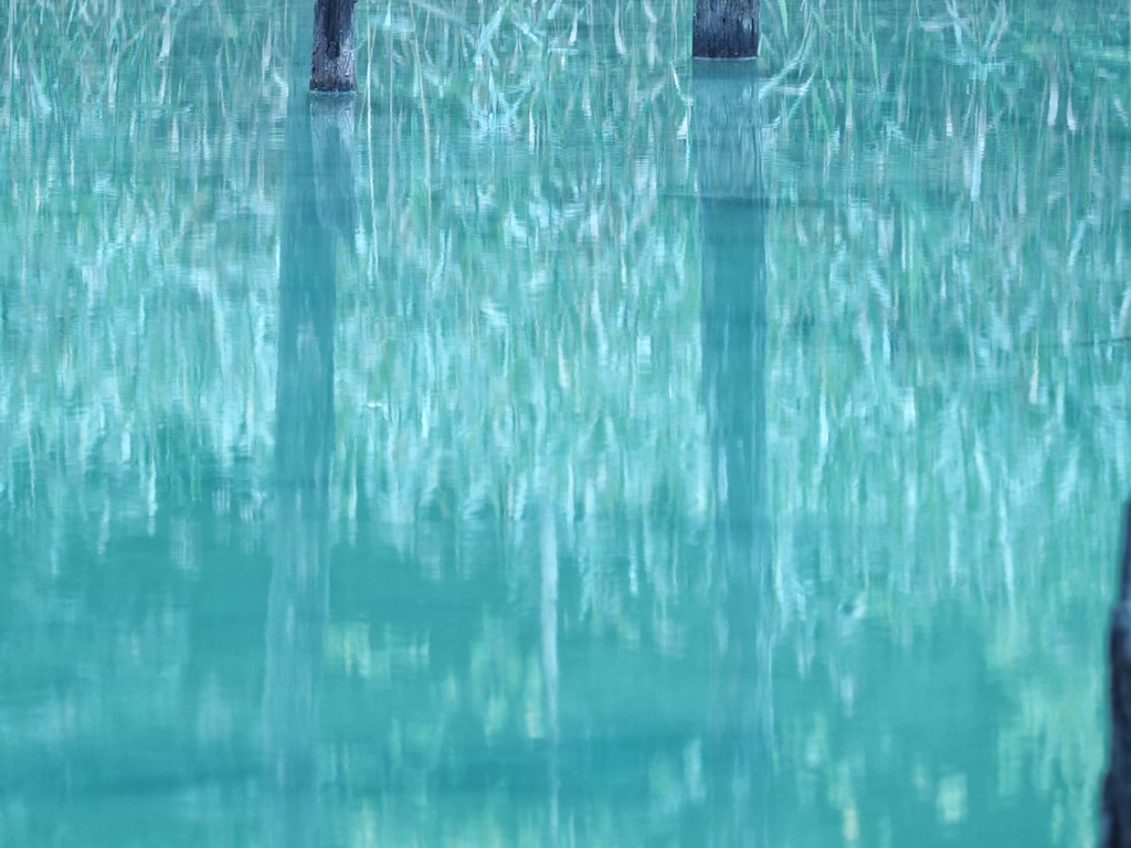 青い池