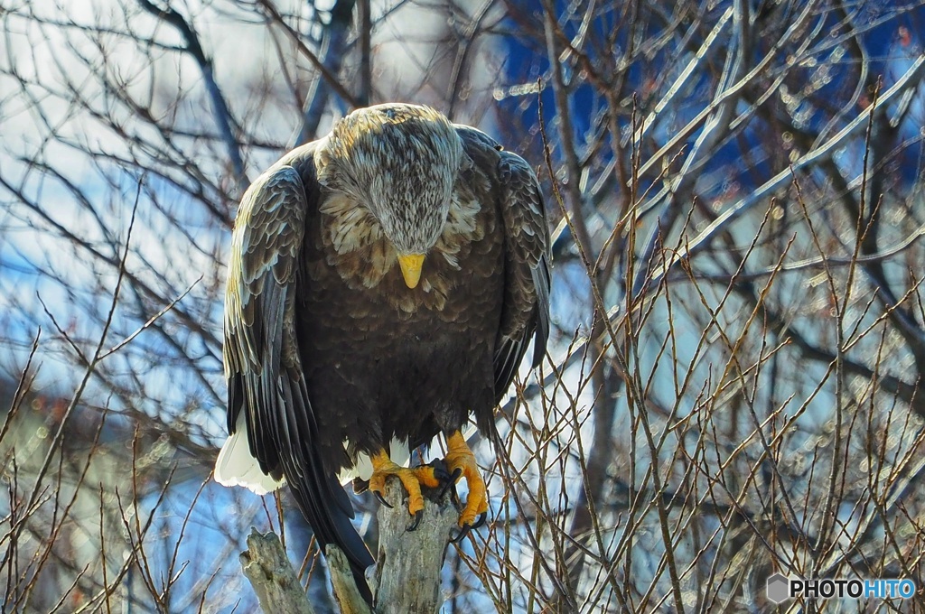 一礼 礼儀正しい奴。