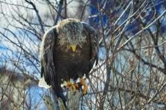 一礼 礼儀正しい奴。