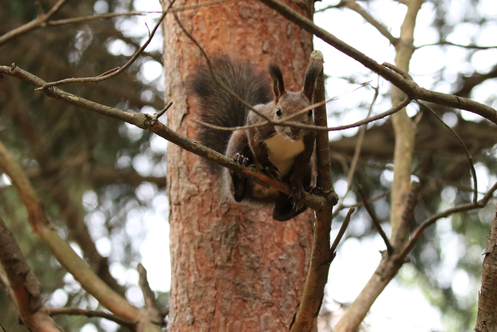 また来てくれたん