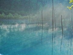 青い池