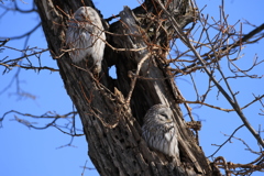 お約束ツーショット