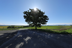 お久の天気！テンション上がる