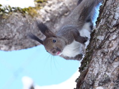 また来てくれたん？