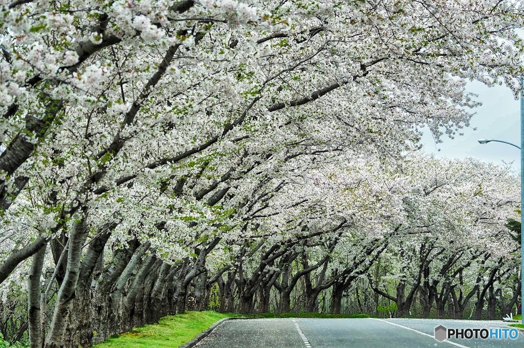 厚田 戸田記念公園