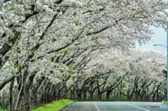 厚田 戸田記念公園
