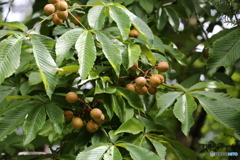 3L4A7707