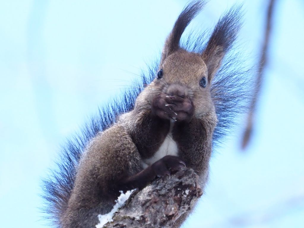 この中見たい？