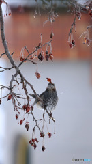 Screenshot_20170206-112158