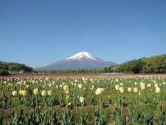 花の都公園