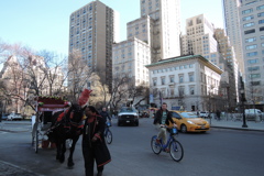 New York March 2017