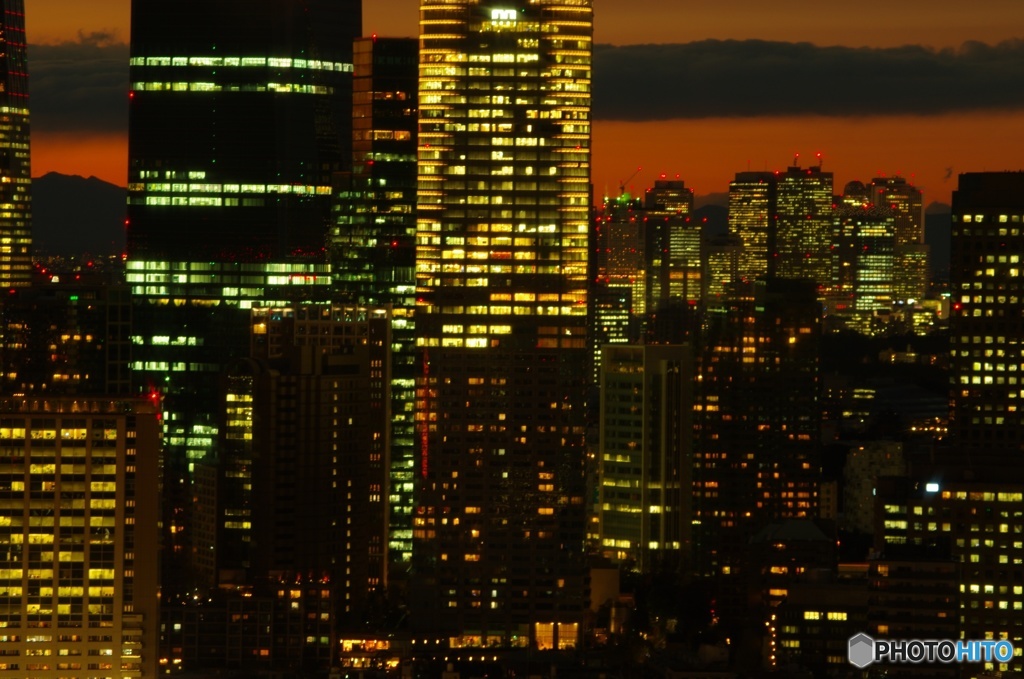 Tokyo Night View ③