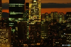 Tokyo Night View ③
