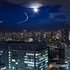 Tokyo Night View ①