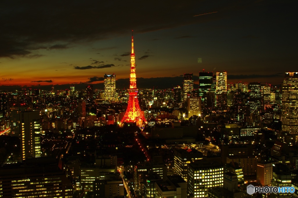 Tokyo Night View ②