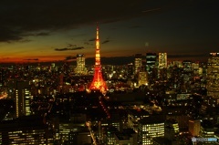 Tokyo Night View ②