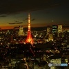 Tokyo Night View ②