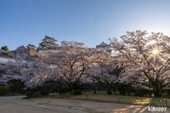 姫路城 春景色 7