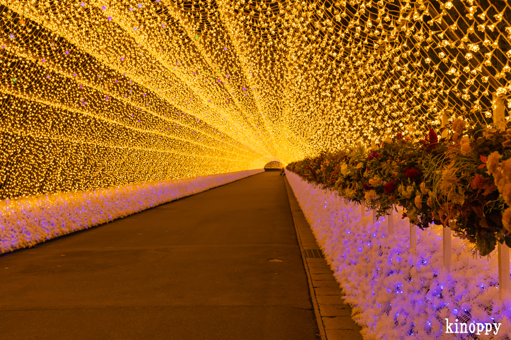 なばなの里 イルミネーション 6