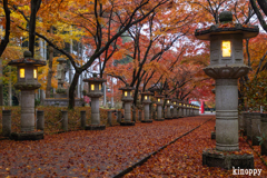 高山寺 紅葉 8