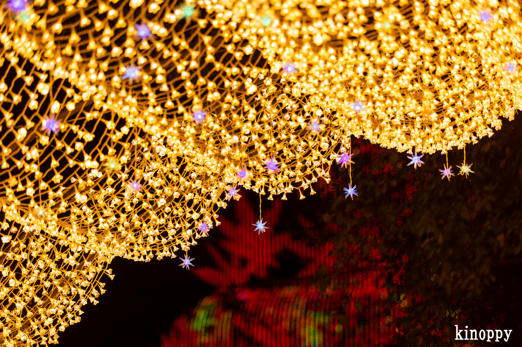 なばなの里 イルミネーション 7