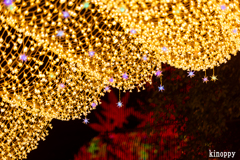 なばなの里 イルミネーション 7