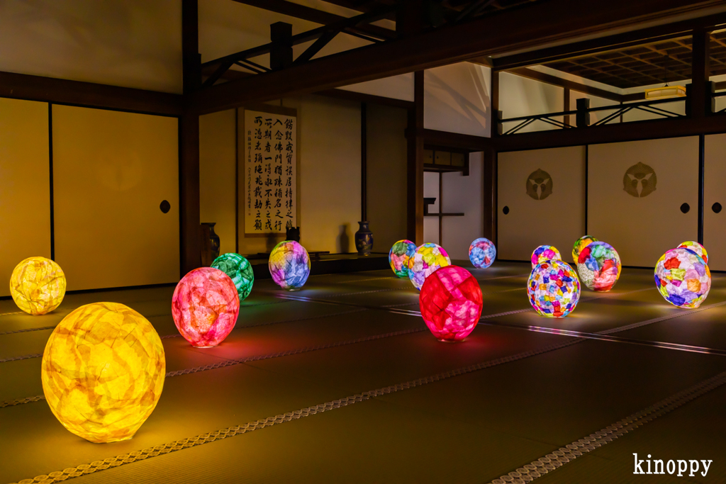 西教寺 ライトアップ 10