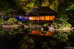 岡山後楽園 夏の幻想庭園 9