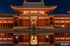 平等院鳳凰堂 ライトアップ 8