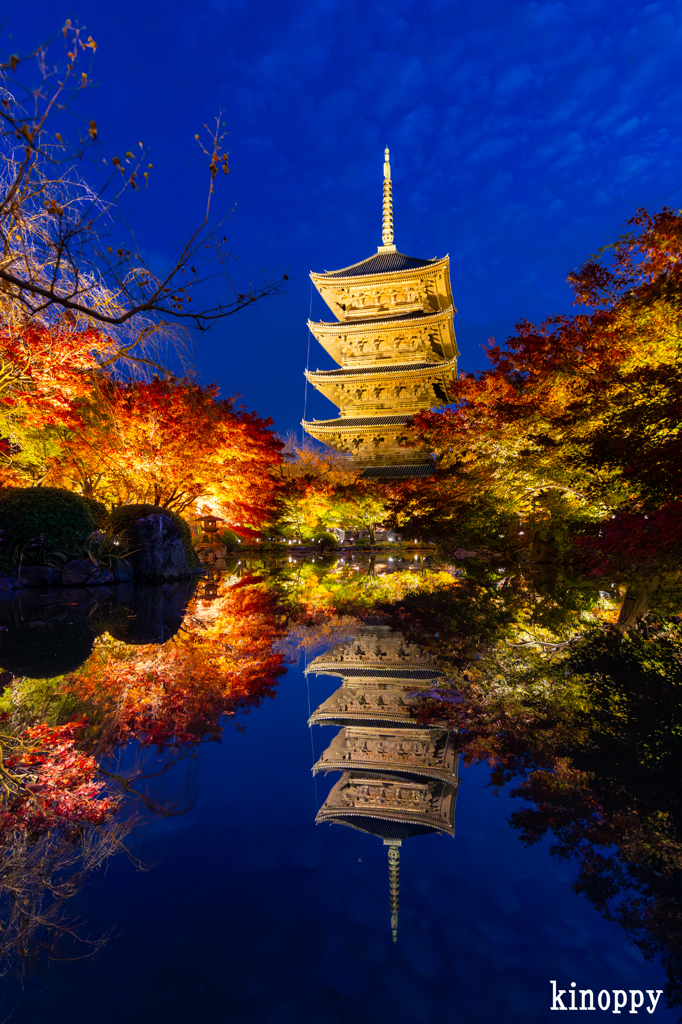 東寺 ライトアップ 2