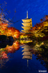 東寺 ライトアップ 2