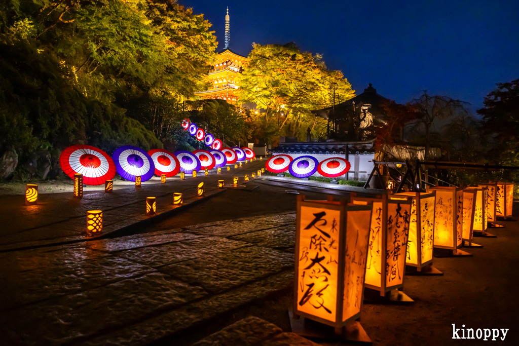 岡寺 光の巡礼