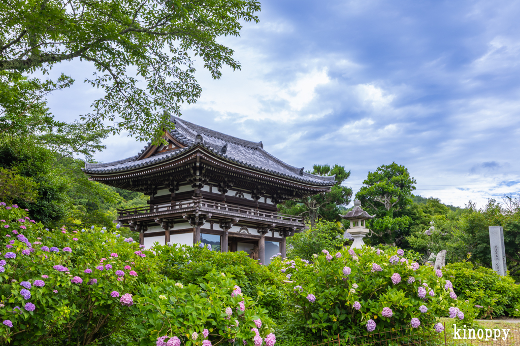 華觀音寺