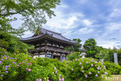 華觀音寺