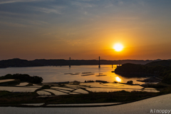 犬頭棚田 夕景