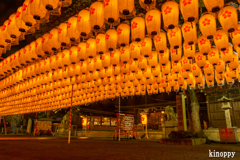 姫路靖國神社 新年万灯祭 3