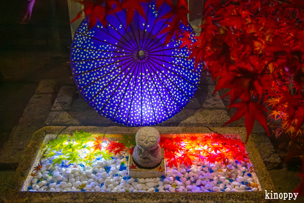 岡寺紅葉ライトアップ 3