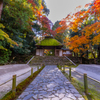 法然院 紅葉 2