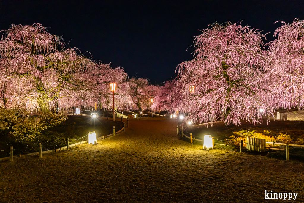 鈴鹿の森庭園 18