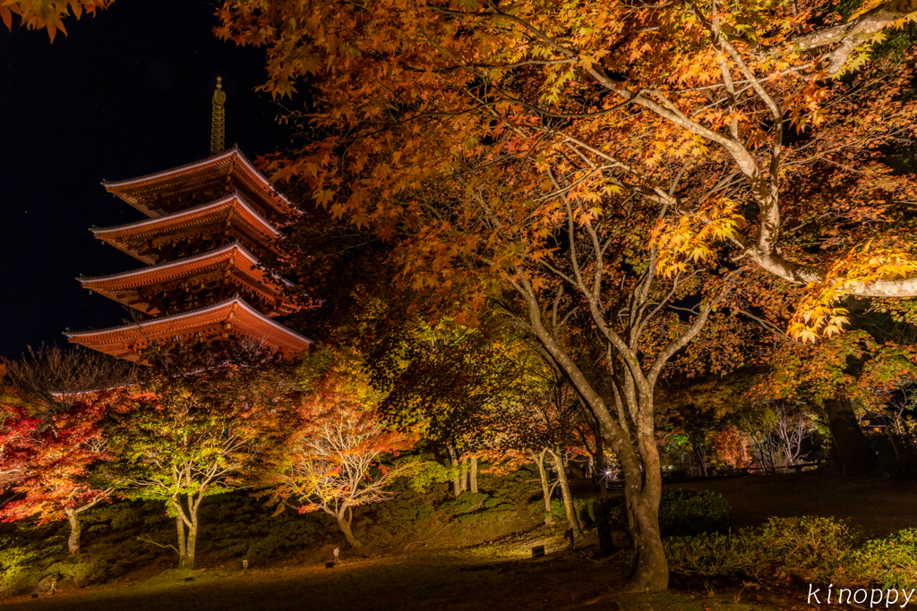 成相寺 ライトアップ 2