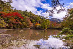 神戸森林植物園 紅葉 2