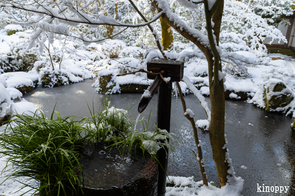 三千院 雪景色 6