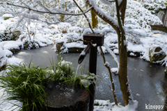 三千院 雪景色 6