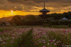 法起寺 夕景