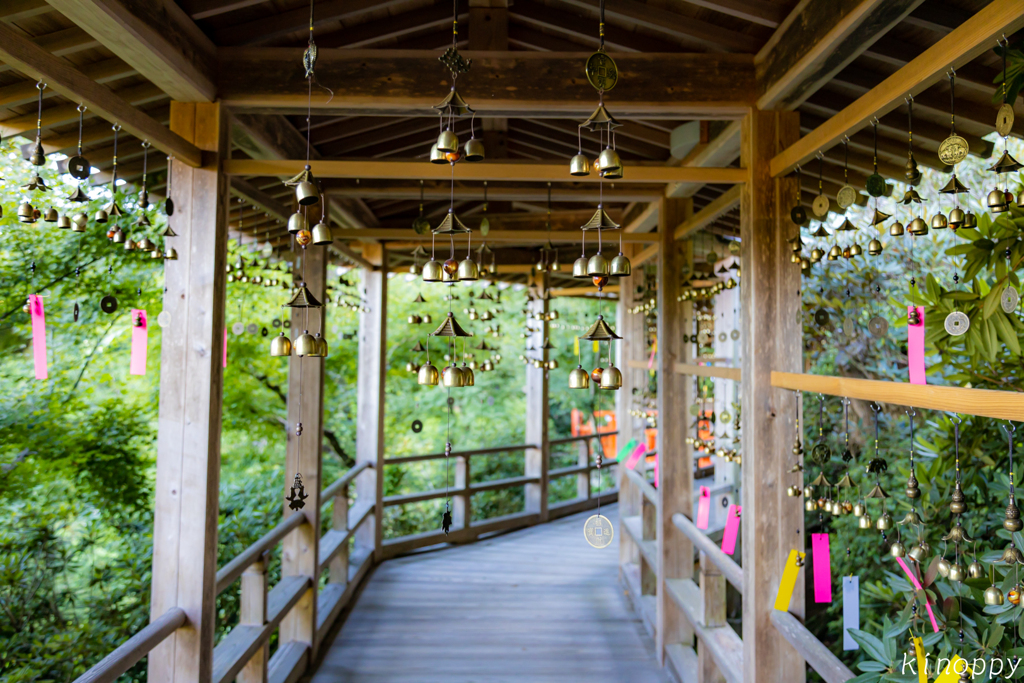 普明山高野寺 風鈴 2