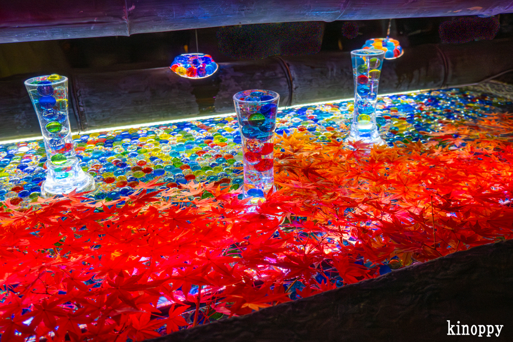 岡寺紅葉ライトアップ 8