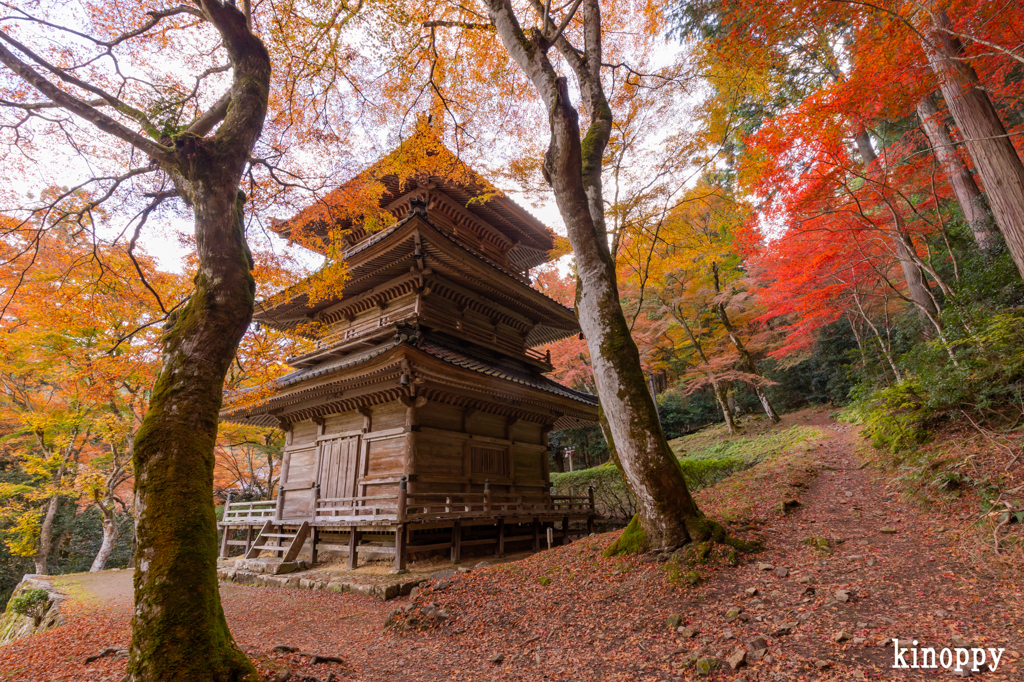 高源寺 紅葉 4