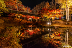 多可町余暇村公園 ライトアップ