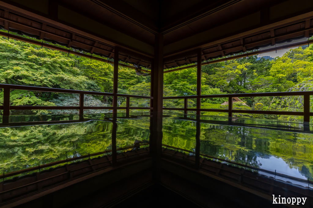 旧竹林院 新緑 4