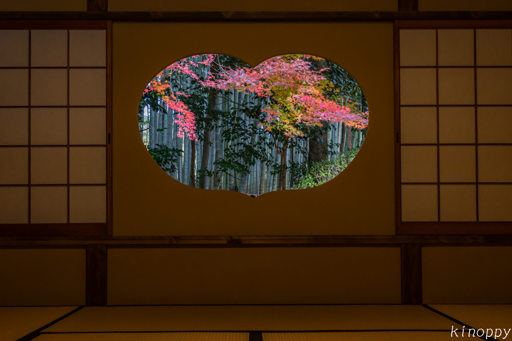 地蔵院 紅葉 4